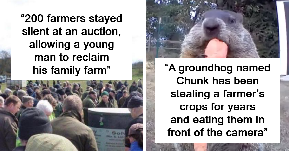 39 Stories And Facts To Show You A Different Side Of Reality