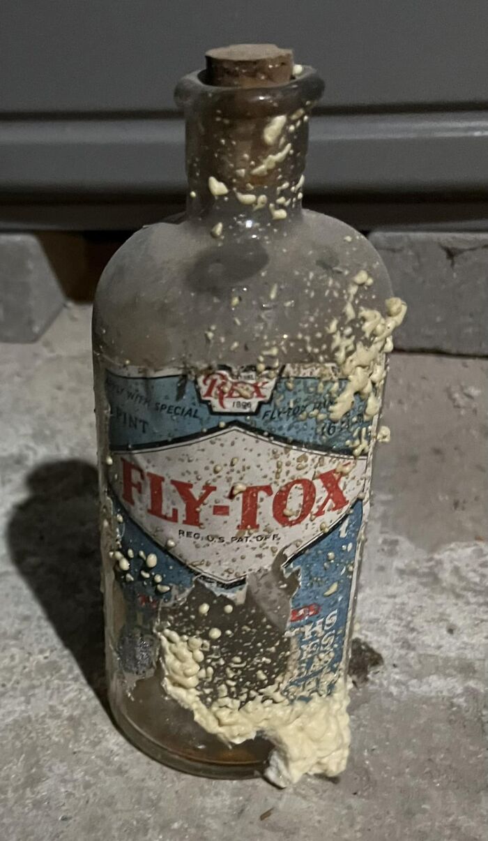 Old Fly-Tox bottle covered in residue, found hidden in walls as part of unexpected things in homes discovery.