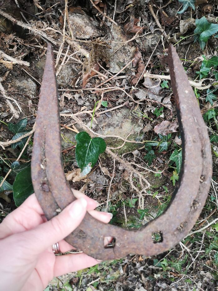 Rusty horseshoe found hidden in the walls and other unexpected places of an old home’s exterior garden area.