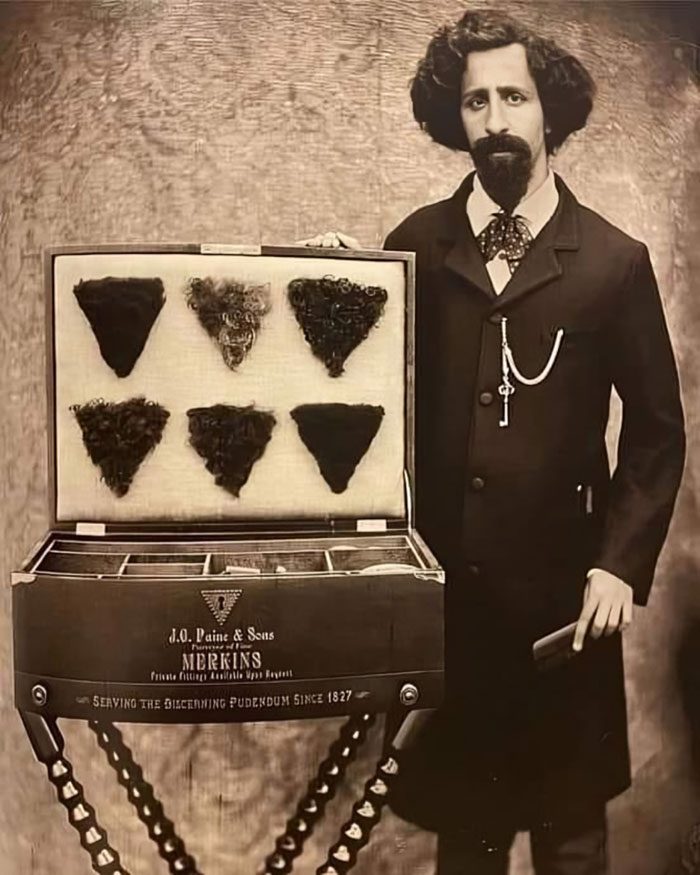 Victorian times strange moment showing a man presenting a collection of vintage hairpieces or merkins in a display case.