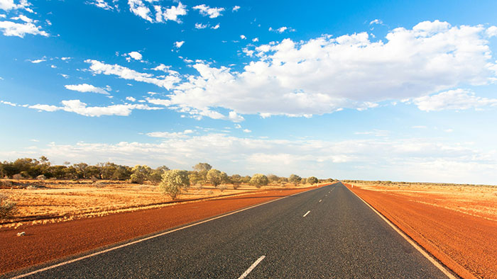 Empty open road under blue sky during daytime, illustrating facts to keep the brain active and healthy outdoors.