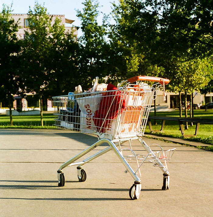 Shopping cart filled with groceries outdoors on a sunny day, symbolizing facts to keep the brain active and healthy.