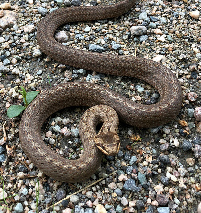 50 Fascinating “Today I Learned” Posts That Might Leave You Questioning Reality (June Edition)