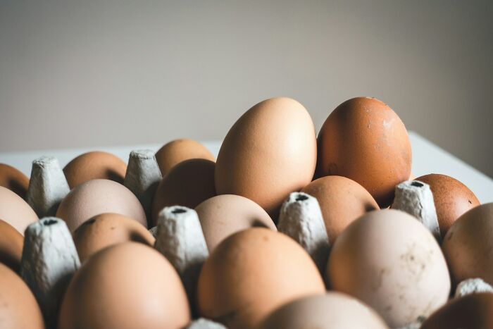 Brown eggs arranged in a carton, illustrating the concept of pregnancy duration and twins.