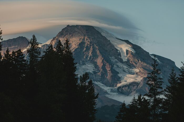Mountain landscape at sunset with trees in foreground, reflecting the mysterious nature of shocking discoveries made during autopsies.