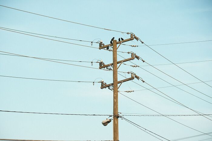 Utility pole with multiple power lines and birds perched, symbolizing eerie and scary moments from truck drivers’ lives.