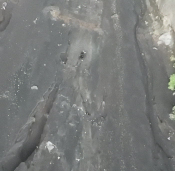 Aerial view of dark volcanic terrain with rough, cracked lava flow and sparse vegetation near the edges. Aerial view of dark volcanic terrain with rough, cracked lava flow and sparse vegetation near the edges.