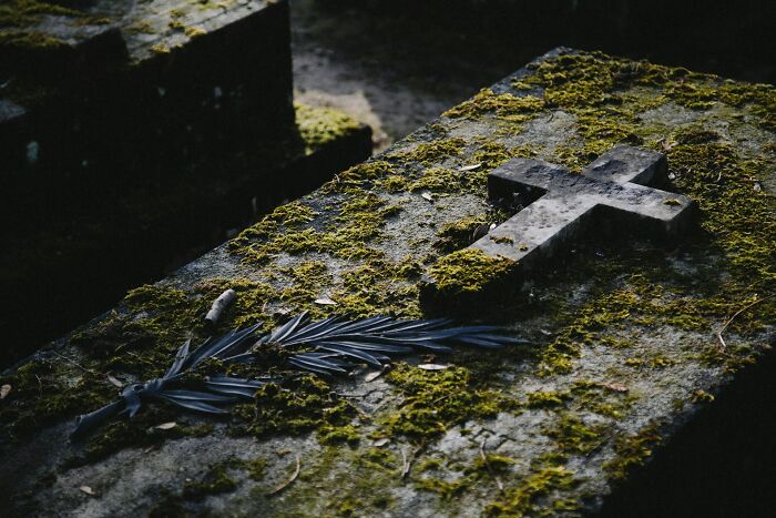Moss-covered old grave with a stone cross and black leaves, symbolizing unresolved personal mysteries and human nature.
