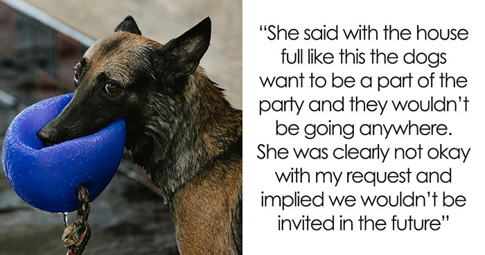 Man Wants Pool Party Host To Lock Up Their Dogs As His Son Is Afraid, Host Gets Annoyed With Him