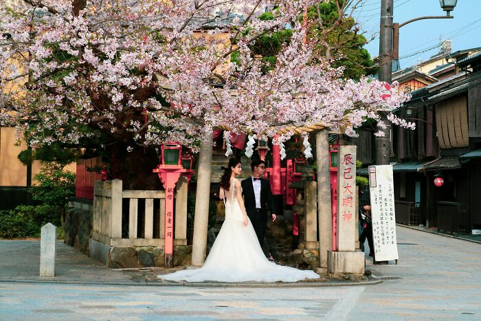 Bride and groom posing under cherry blossoms in Japan, illustrating experiences of foreigners big in Japan life challenges.