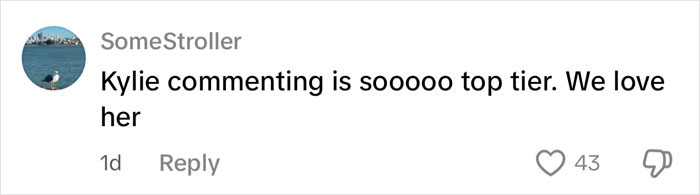 Comment from user SomeStroller praising Kylie Jenner for her witty response related to breast augmentation surgery details.