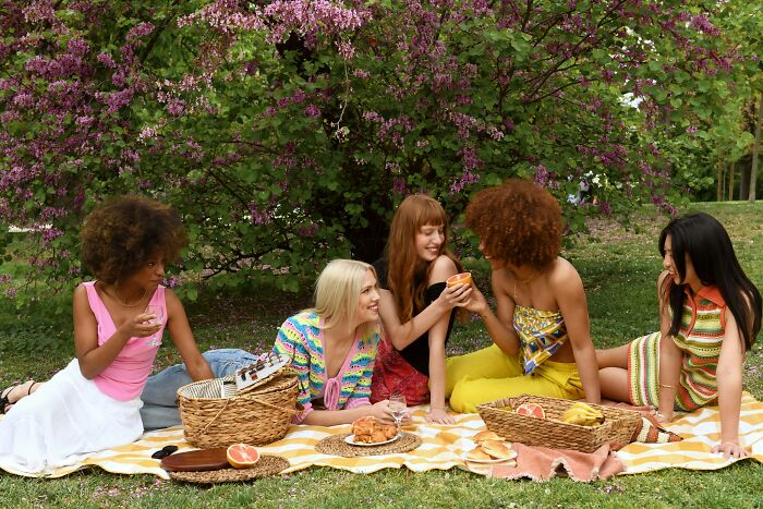 Group of women enjoying a picnic outdoors, sharing food and drinks in a relaxed setting, symbolizing a completely legal total psychopath.