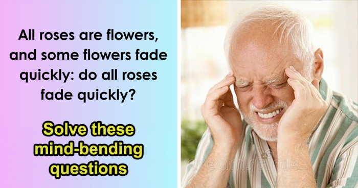 Try To Score At Least 18/21 On This ‘Yes’ Or ‘No’ Logic Test