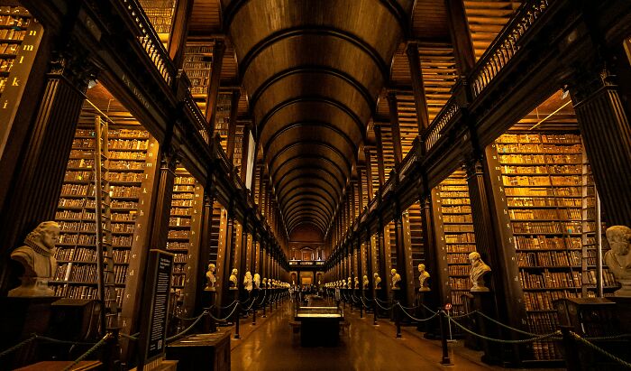 Historic library interior with tall wooden shelves filled with books and classical busts, showcasing stunning bookstores and libraries.