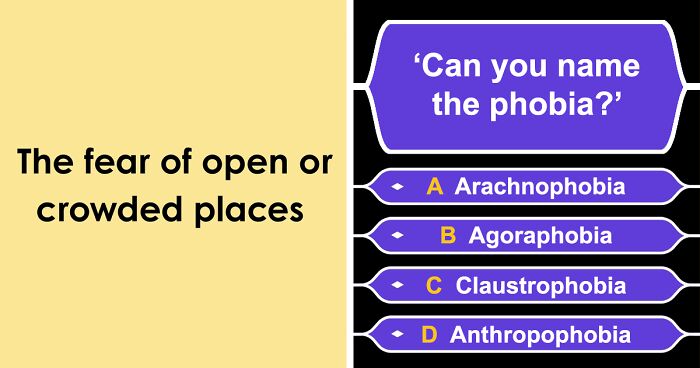 Prove Your Vocabulary IQ Is High By Scoring At Least 22/26 On This Language Quiz