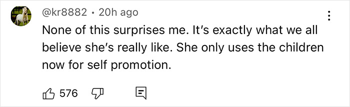 User comment criticizing Meghan Markle, suggesting she treats her kids like accessories for self-promotion, amid flight attendant claims.