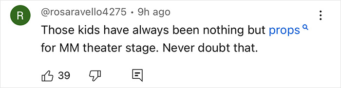 Screenshot of a social media comment accusing Meghan Markle of treating her kids like accessories during a flight.