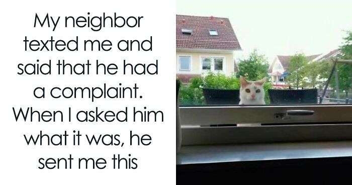 50 Cute And Funny Cat Memes That Are Cheaper Than Therapy (New Pics)