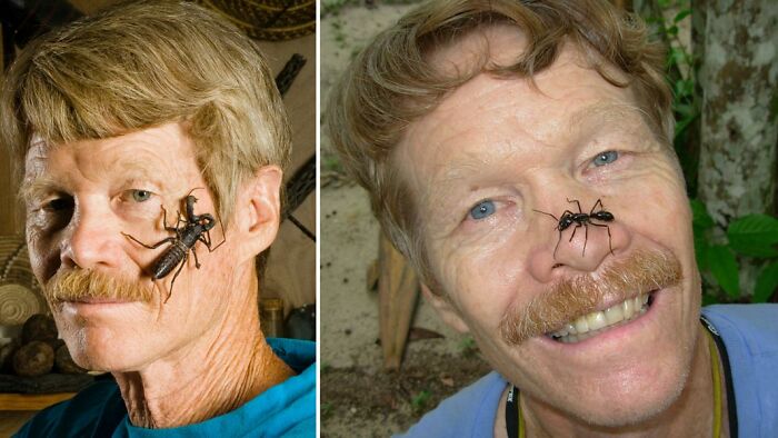 Man with large insects crawling on his face illustrating men doing dumb things and risky behavior.