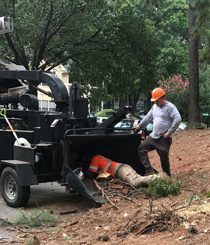 Man in an orange helmet watching another man dangerously inside wood chipper, illustrating men doing dumb things outdoors.