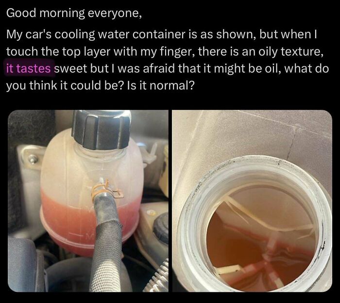 Car cooling water container with oily, sweet-tasting top layer causing concern in a dumb men doing dumb things scenario.