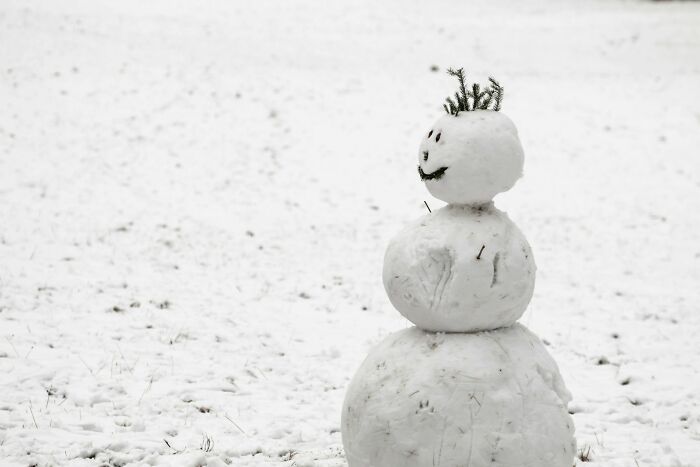 Snowman made of three snowballs with a smiling face and twig hair standing in snowy field, illustrating police nonsense theme.
