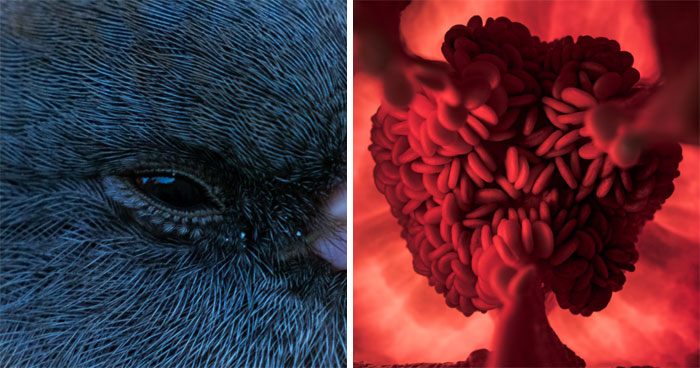 Reality Is Stranger Than Fiction: 50 Of The Most Unreal Photographs (New Pics)