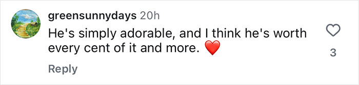 Comment on social media praising an adorable puppy successfully treated by Aussie vets for a life-saving surgery.