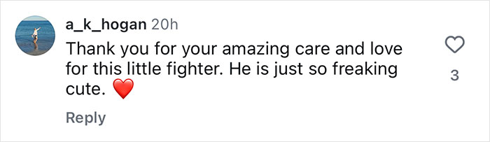 Comment on social media thanking Aussie vets for life-saving surgery on a puppy born without butthole, expressing love and care.