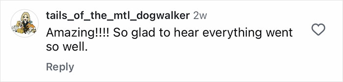 Comment praising Aussie vets for successful life-saving surgery on a puppy born without a butthole.