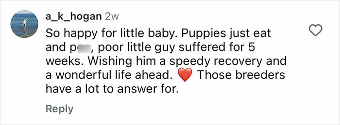 Social media comment expressing support for a puppy born without a butthole and wishing a speedy recovery after surgery.