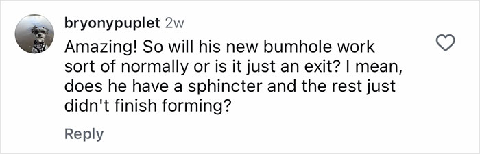 Comment asking about the functionality of a new bumhole and sphincter after life-saving surgery on a puppy born without one.