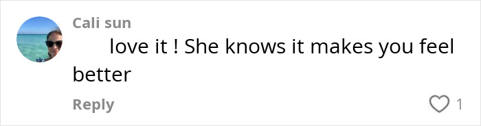 Comment saying love it and feeling better on social media post about traumatizing toddler pretending weight-loss medication injection