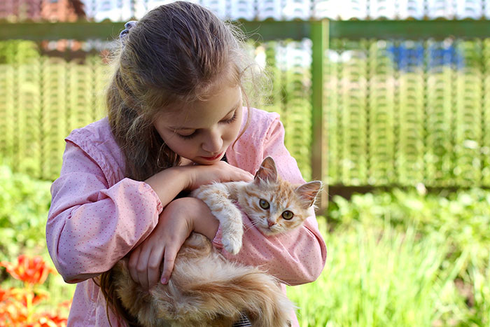 Young girl in a pink shirt holding a fluffy cat outdoors, illustrating the man demands ex rehomes her cats allergy situation.