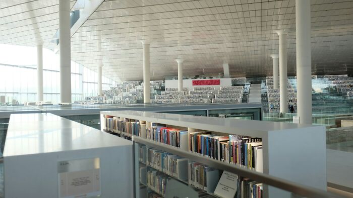Modern grandiose library interior with rows of bookshelves and natural light filling the spacious reading area