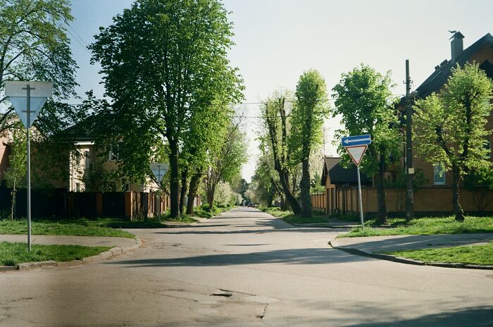 Quiet suburban street with trees, houses, and traffic signs illustrating times police encountered utter nonsense.
