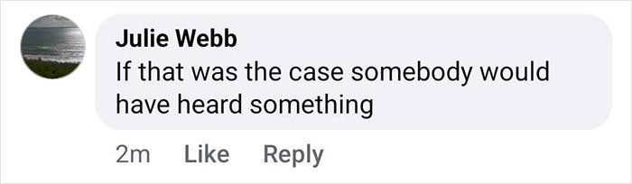 Comment by Julie Webb questioning the likelihood of someone hearing about a drunk driver in Madeleine McCann's disappearance theory.