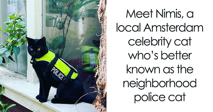 Meet Nimis, The Adorable Cat Who’s ‘Patrolling’ Amsterdam In A Police Vest