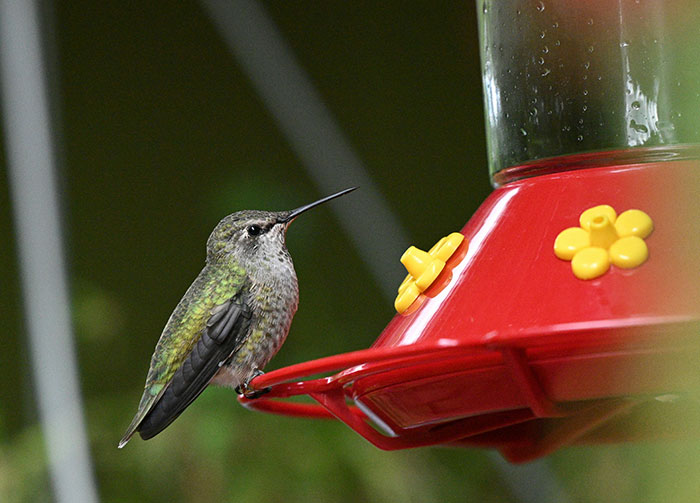 31 Hilariously Wrong Legal Takes That Had Actual Lawyers Cry-Laughing