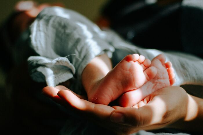 Close-up of a person's hand gently holding a baby's feet, symbolizing the mystery of people as animals and human connection.