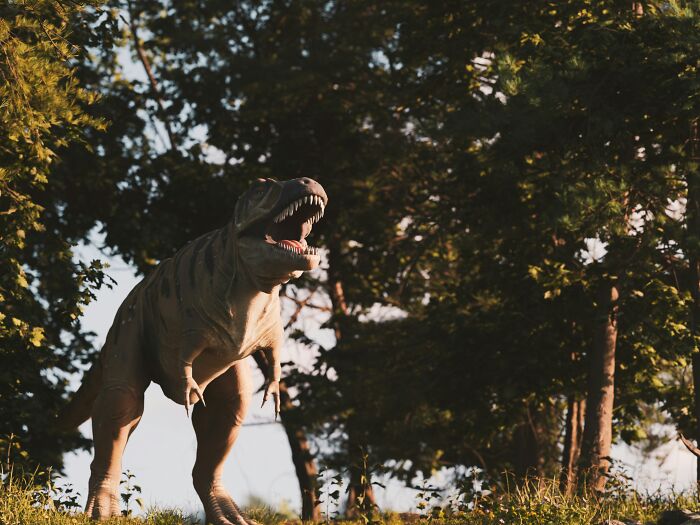 Tyrannosaurus rex model standing in forest light, illustrating dinosaur facts and prehistoric reptile appearance.