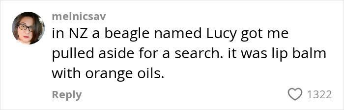 Comment about K9 sniffing undeclared items in passenger luggage during a search, mentioning a beagle named Lucy in New Zealand.