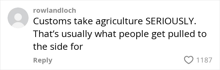 Comment about customs and agriculture highlighting how people get pulled aside for undeclared items by K9 sniffing luggage.