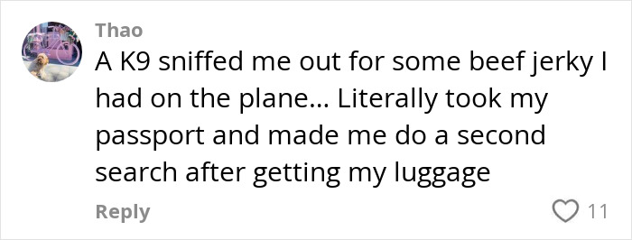 Comment from Thao about a K9 sniffing luggage on a plane, leading to a second search for undeclared items.