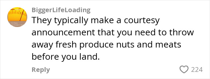 Comment on airline policy about throwing away fresh produce before landing, related to K9 sniffing undeclared apples.