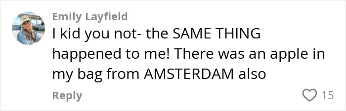 Comment by Emily Layfield discussing an undeclared apple in luggage and a similar experience at Amsterdam airport.