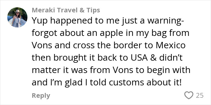 Comment from Meraki Travel & Tips sharing a warning about undeclared apple in luggage crossing the US-Mexico border.
