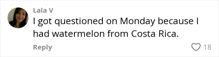 Passenger explaining to an officer about carrying undeclared fruit after K9 sniffs an undeclared apple in luggage.