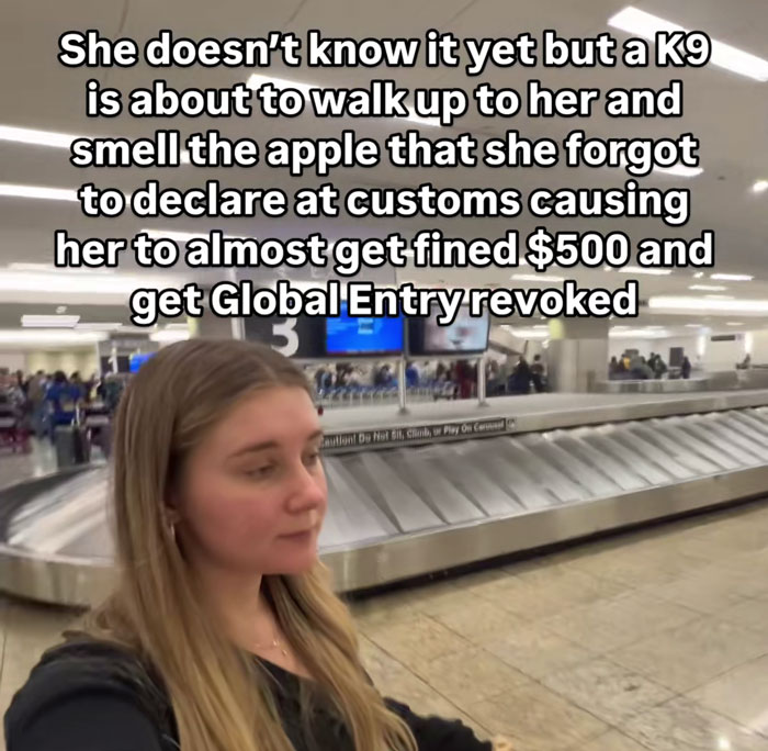 Passenger at airport baggage claim with K9 about to sniff an undeclared apple in her luggage, risking a fine.