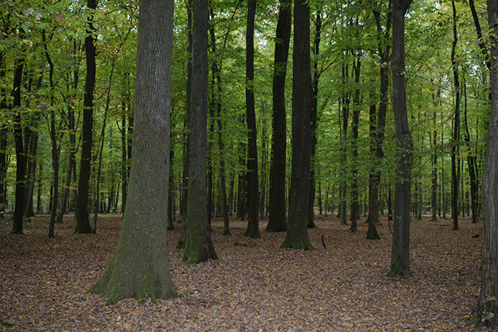 40 People Who Experienced Psychosis Share The Most Terrifying Things They Saw And Felt